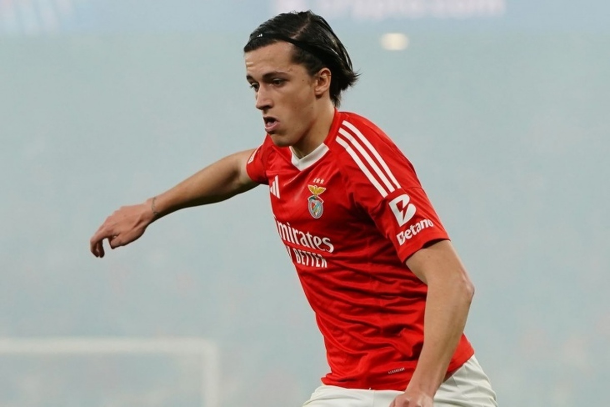 عکس جذاب آلوارو کارراس - دانستنی ها عکس جذاب آلوارو کارراس