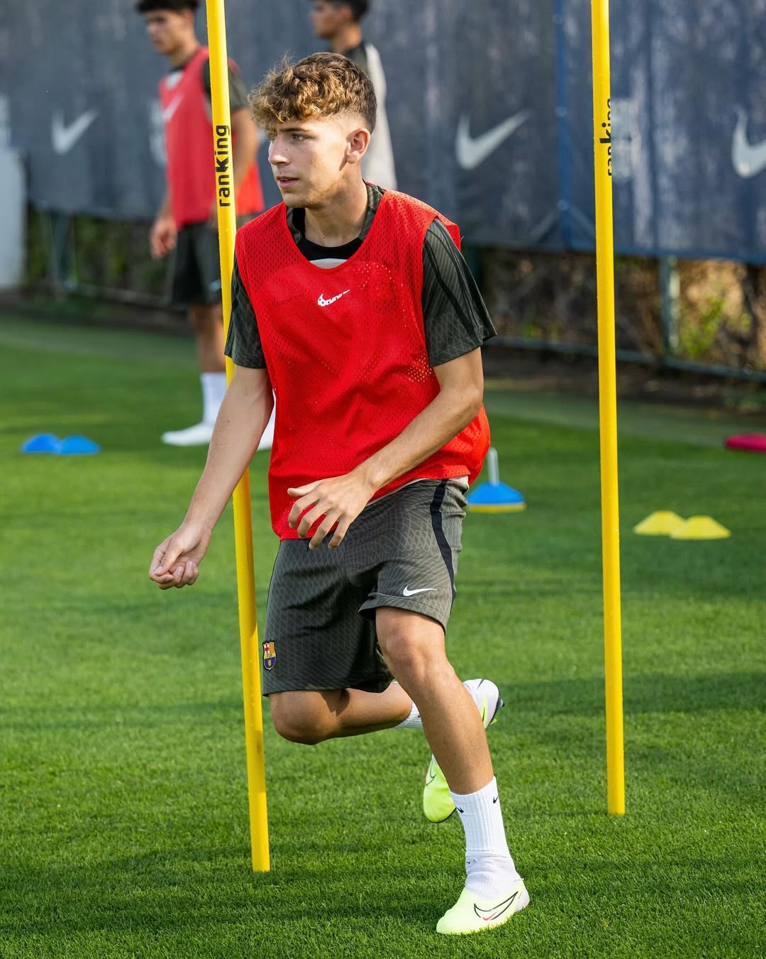 زندگی حرفه‌ای پائو پریم