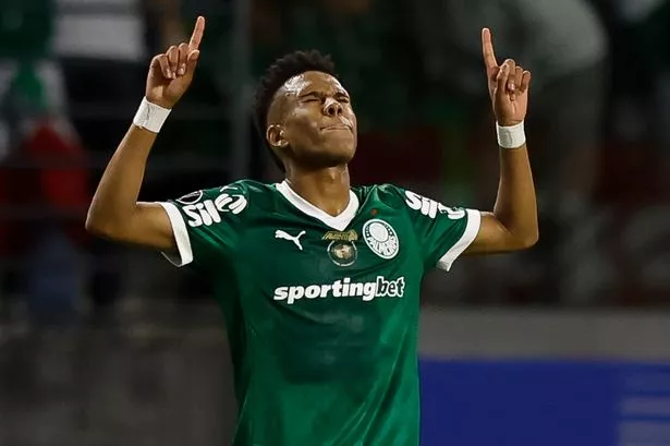 عکس پروفایل استوائو ویلیان