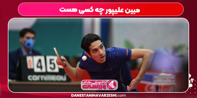 مبین علیپور چه کسی هست