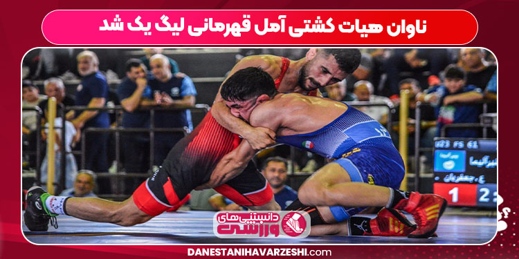 ناوان هیات کشتی آمل قهرمانی لیگ یک شد