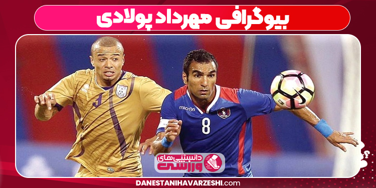 بیوگرافی مهرداد پولادی