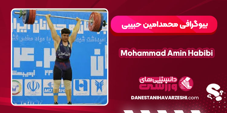 Mohammad Amin Habibi