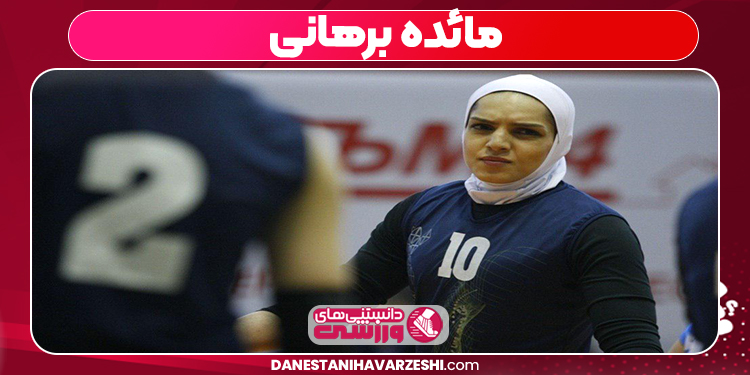 مائده برهانی