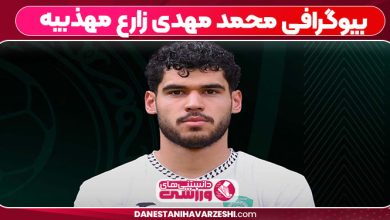 بیوگرافی محمد مهدی زارع مهذبیه