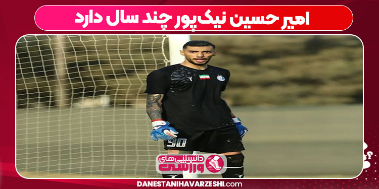 امیر حسین نیک‌پور چند سال دارد