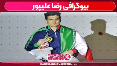 بیوگرافی رضا علیپور
