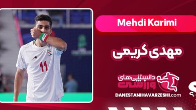 بیوگرافی مهدی کریمی