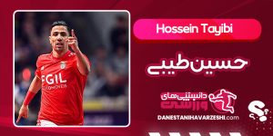 بیوگرافی حسین طیبی
