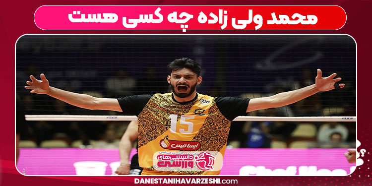 محمد ولی زاده چه کسی هست 