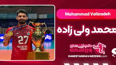 بیوگرافی محمد ولی زاده