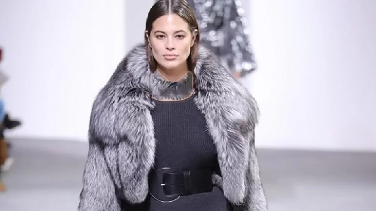 بیوگرافی اشلی گراهام مدل بیوگرافی اشلی گراهام مدل