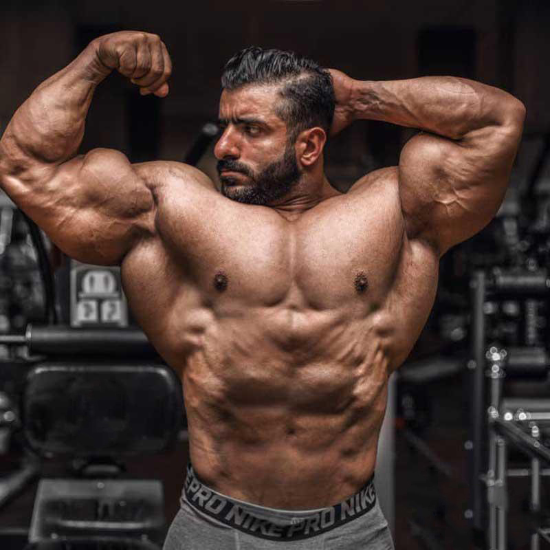 زندگینامه هادی چوپان