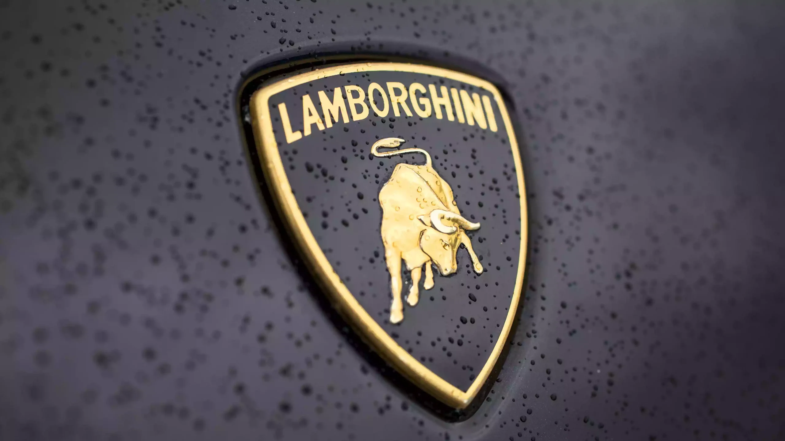 Lamborghini (لامبورگینی) – ایتالیا