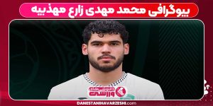 محمد مهدی زارع مهذبیه