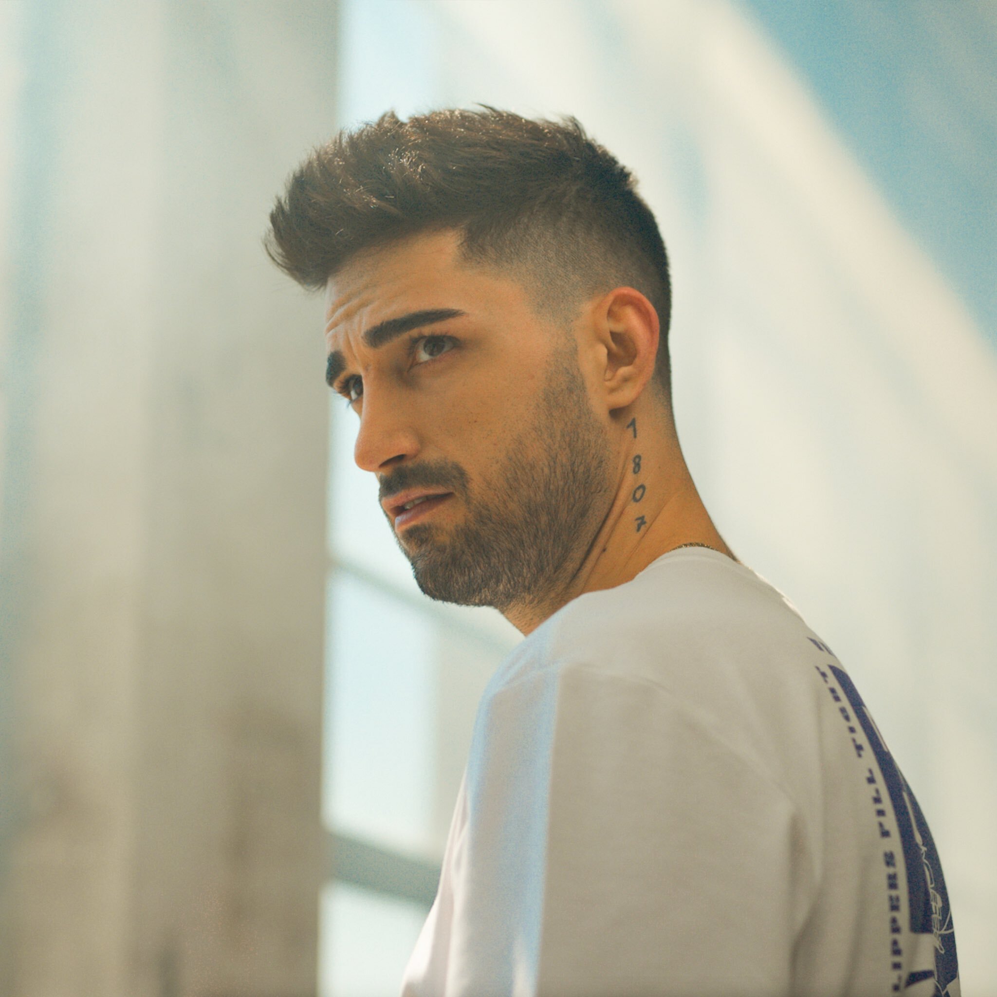 ایدوی تاتلیسس