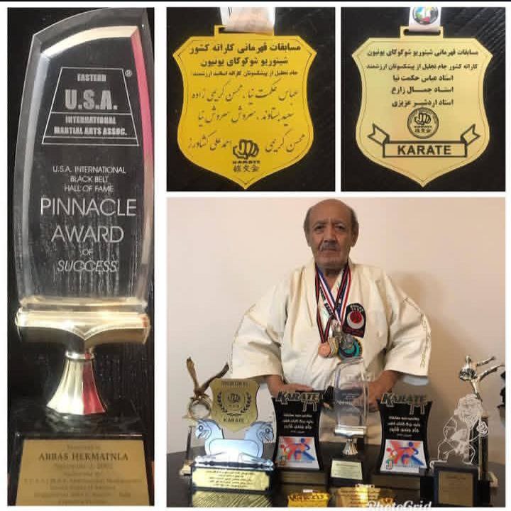 درگذشت عباس حکمت نیا پیشکسوت کاراته