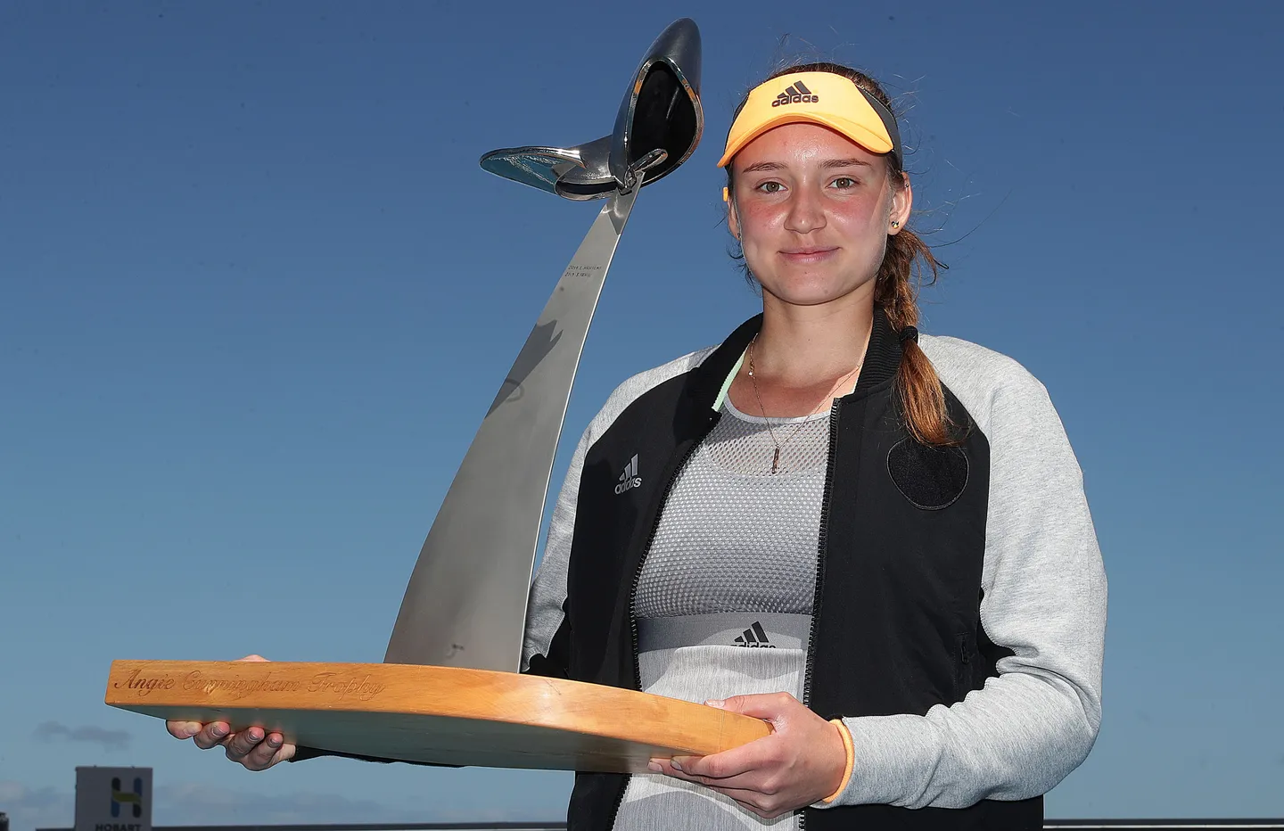 بیوگرافی النا ریباکینا بیوگرافی النا ریباکینا