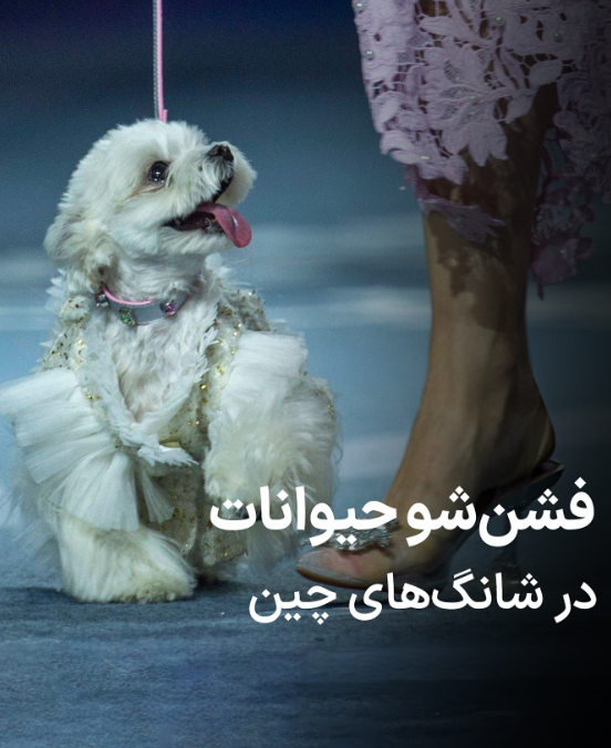 ۵ ترند برتر فشن حیوانات در چین ۵ ترند برتر فشن حیوانات در چین