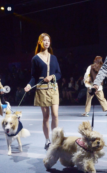 راز موفقیت صنعت فشن حیوانات در چین چیست راز موفقیت صنعت فشن حیوانات در چین چیست