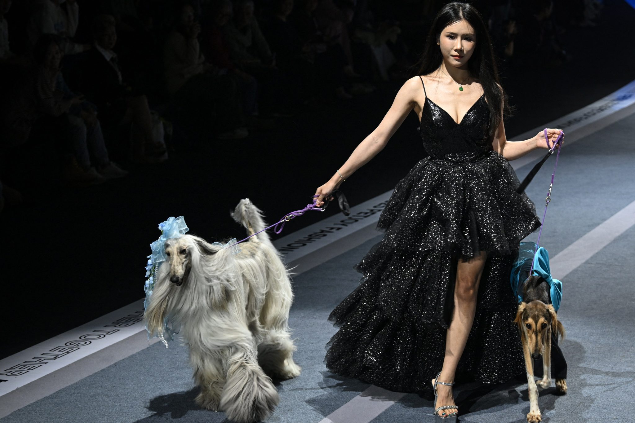 رونمایی از جدیدترین ترندهای فشن حیوانات در چین رونمایی از جدیدترین ترندهای فشن حیوانات در چین