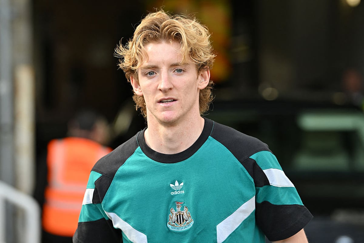 آمار آنتونی گوردون آمار آنتونی گوردون