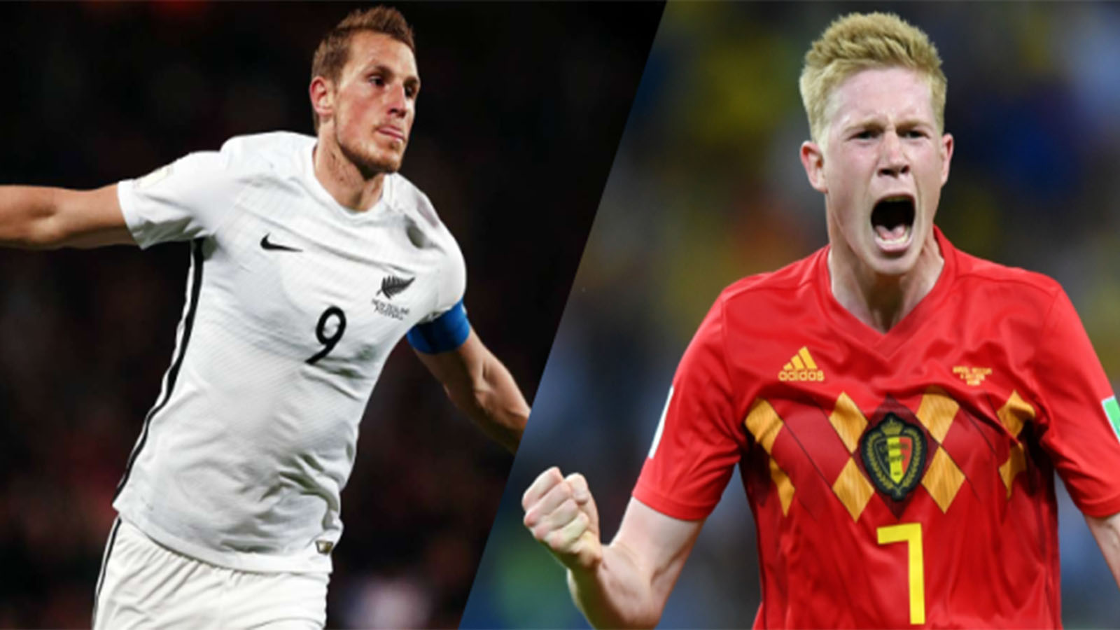 جدال نیوزلند و بلژیک جدال نیوزلند و بلژیک