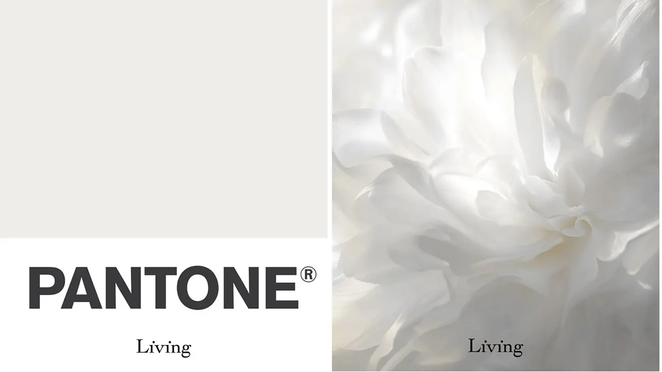 رنگ سال رنگ سال