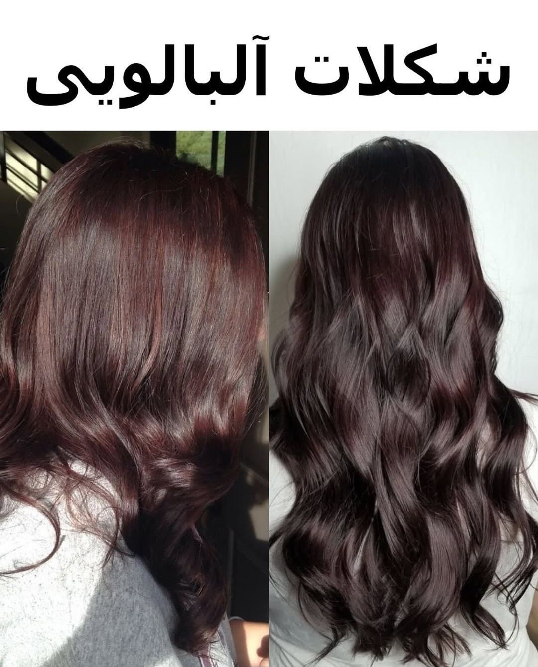 رنگ مو شکلات آلبالویی رنگ مو شکلات آلبالویی
