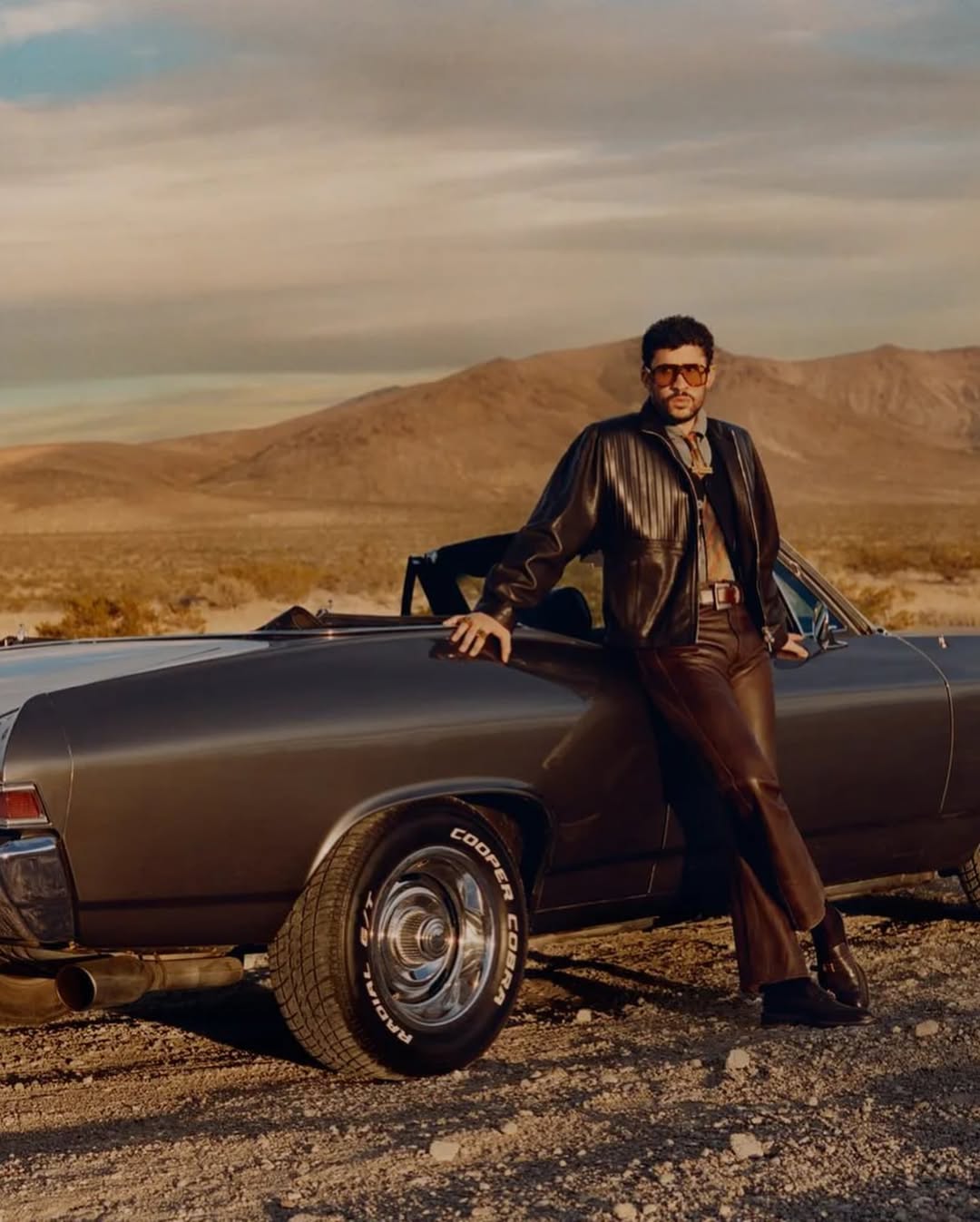  بد بانی در صدر استایل جهان