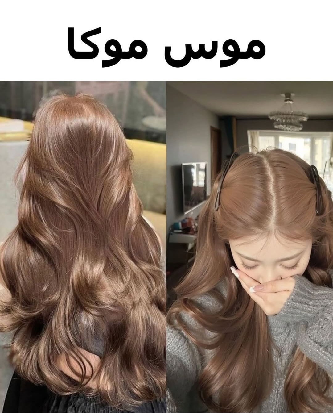 رنگ مو موس موکا رنگ مو موس موکا