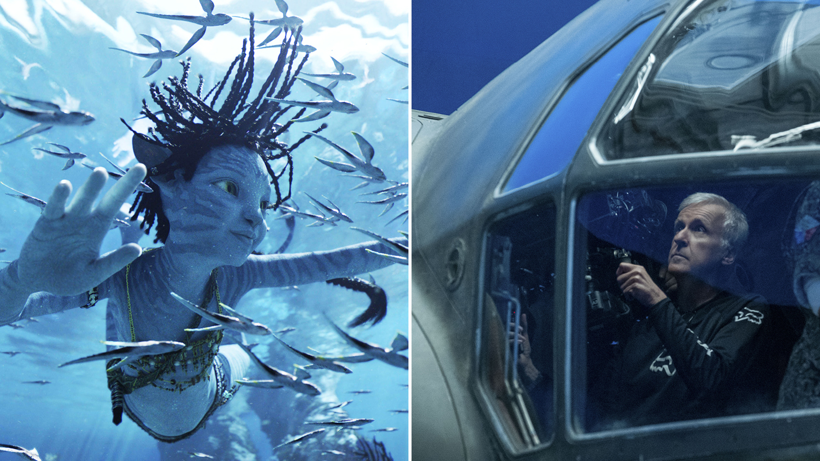 آیا جیمز کامرون از فیلم‌هایش میلیاردر شد